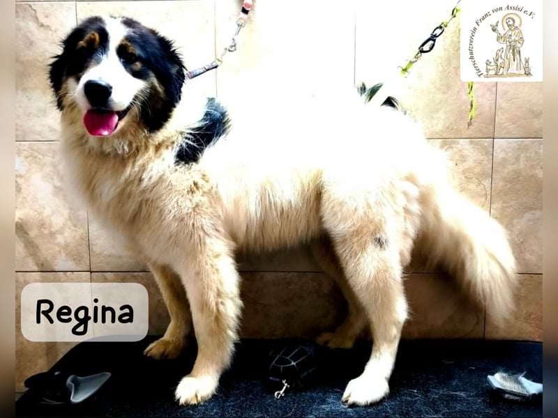 Regina – sie wollte nie allein sein!