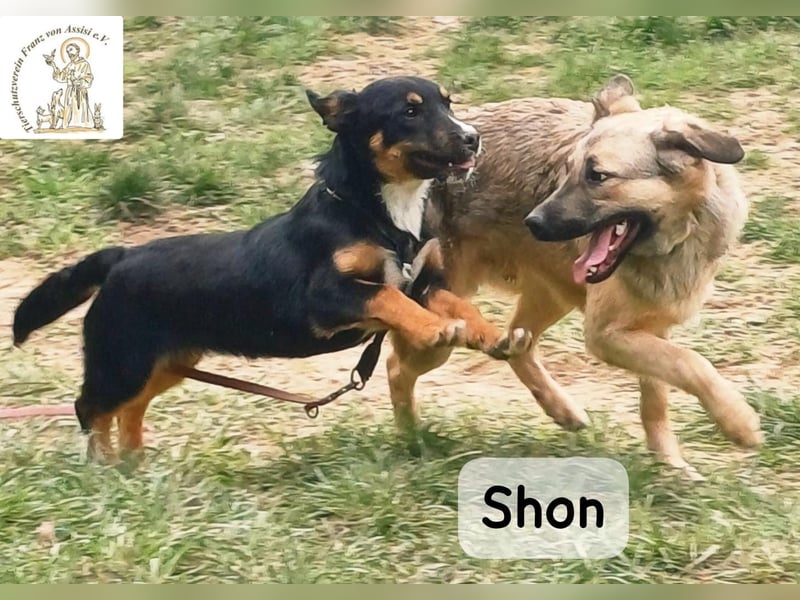 Shon – einmal lächeln, einmal verlieben, dann gemeinsam los ins Abenteuer!