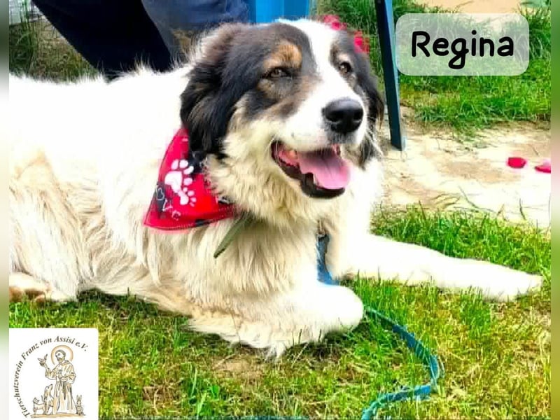 Regina – sie wollte nie allein sein!