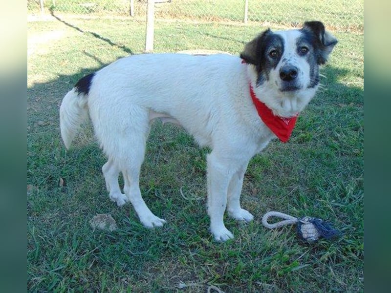 Bianca ist sehr freundlich