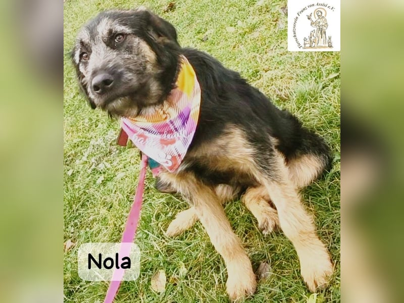 Nola – ist bereit, wenn du es bist!