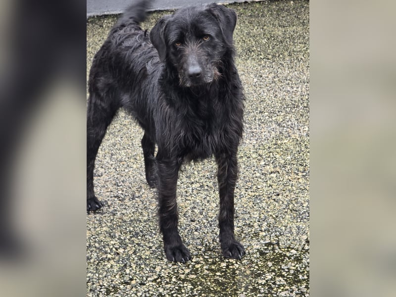 Schenkst du Naomi ein Leben, in dem sie endlich dazugehören darf?