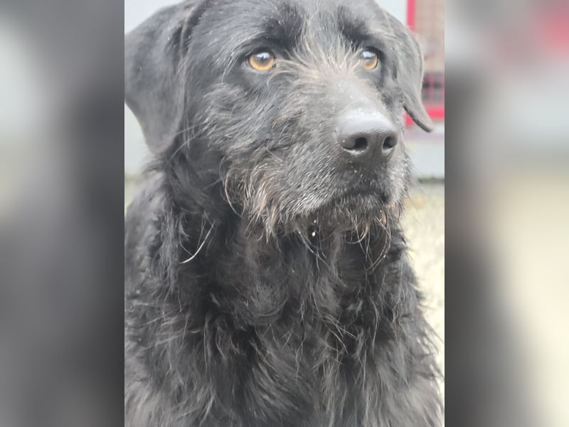 Schenkst du Naomi ein Leben, in dem sie endlich dazugehören darf?