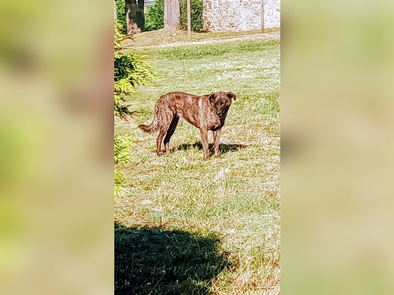 Helfen Sie Lua dabei zu funkeln?