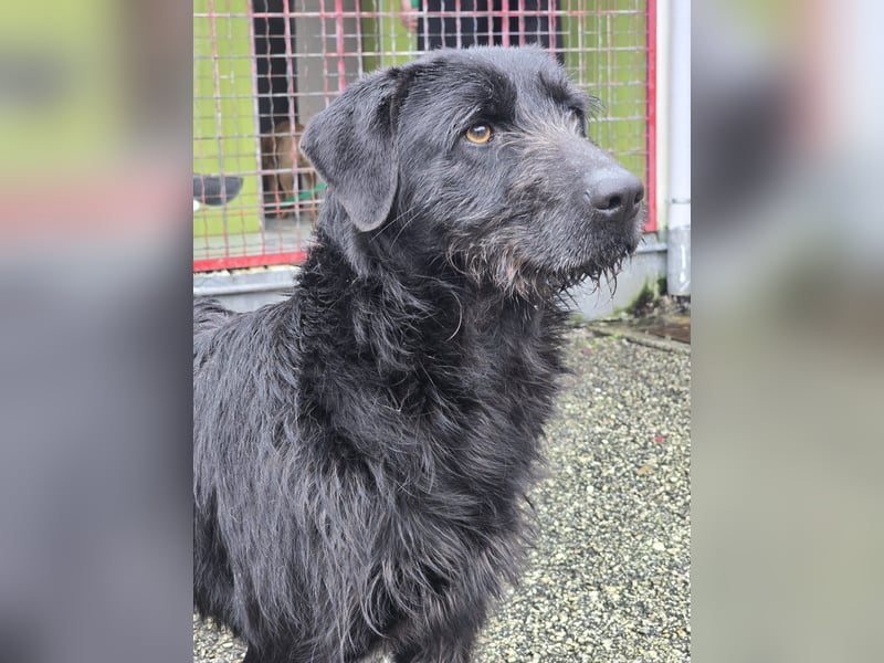 Schenkst du Naomi ein Leben, in dem sie endlich dazugehören darf?