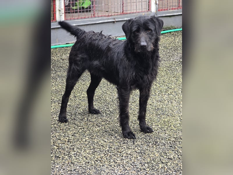 Schenkst du Naomi ein Leben, in dem sie endlich dazugehören darf?