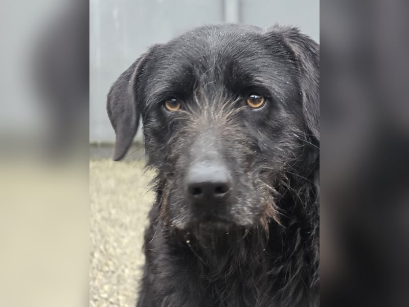 Schenkst du Naomi ein Leben, in dem sie endlich dazugehören darf?