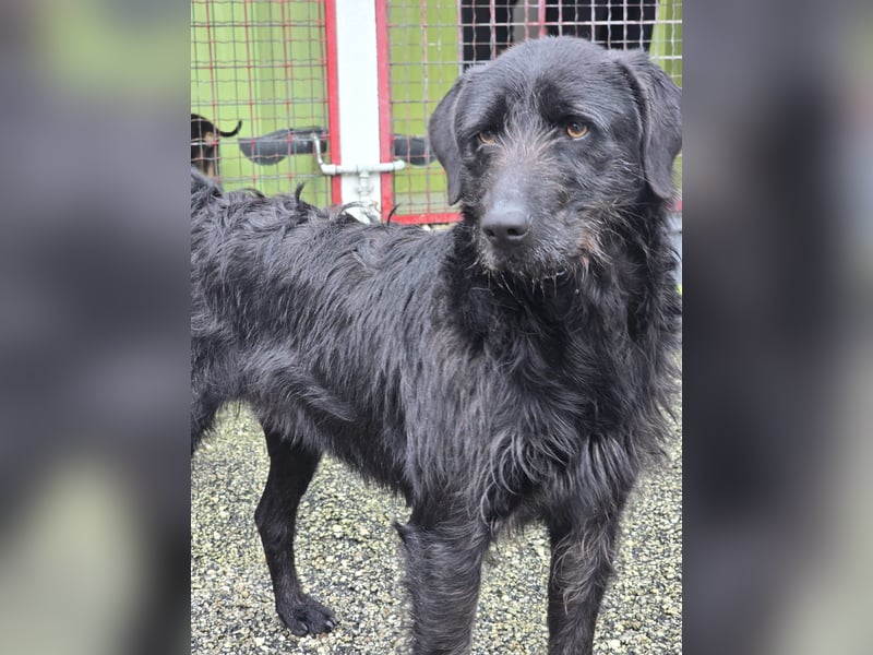 Schenkst du Naomi ein Leben, in dem sie endlich dazugehören darf?