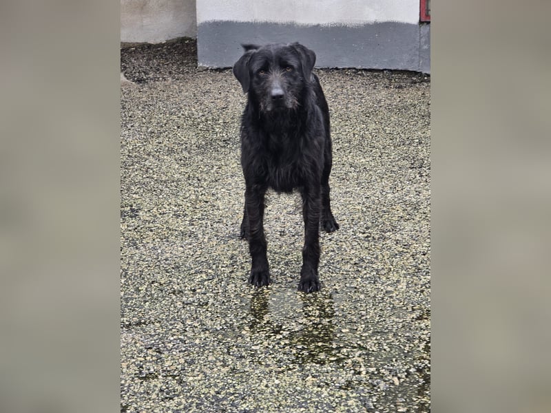 Schenkst du Naomi ein Leben, in dem sie endlich dazugehören darf?