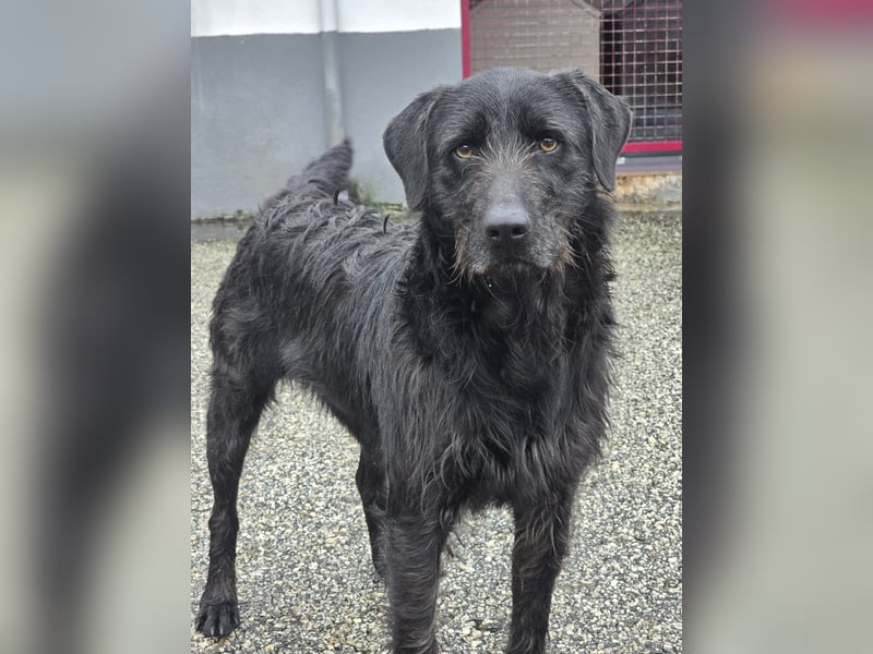 Schenkst du Naomi ein Leben, in dem sie endlich dazugehören darf?