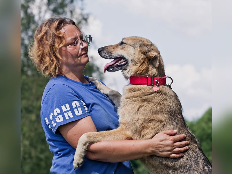 Die liebe und freundliche Zara wünscht sich schon lange ein Zuhause