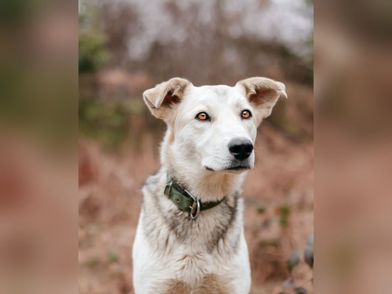 Freya wünscht sich eine Familie