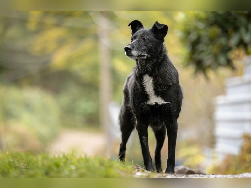 Unkomplizierte ​Agata möchte ihr Herz verschenken