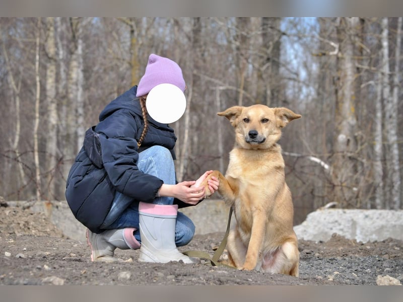 Timmy: Vom Schattenhund zum Herzensbrecher