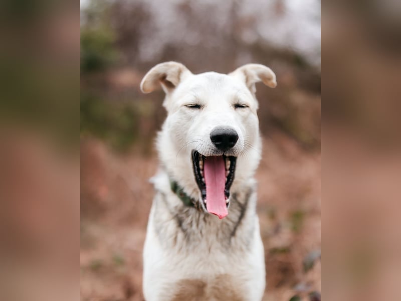 Freya wünscht sich eine Familie