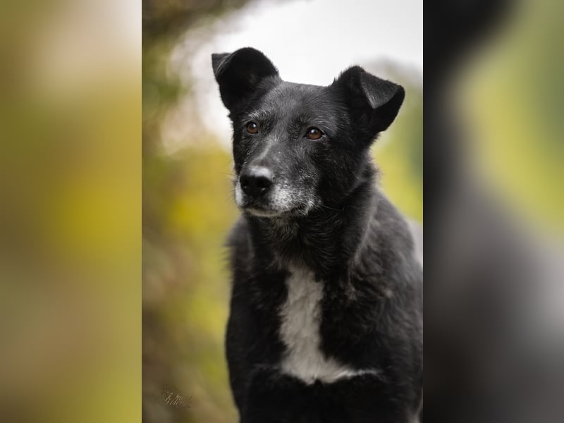 Unkomplizierte ​Agata möchte ihr Herz verschenken