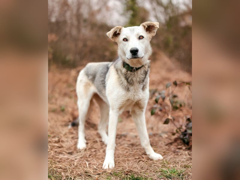 Freya wünscht sich eine Familie