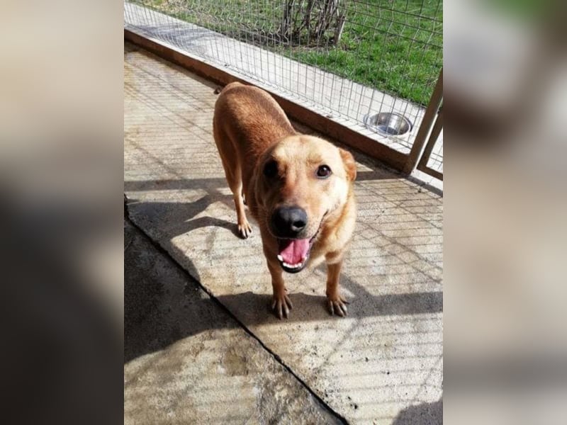 Ethan, ein wahres Goldstück