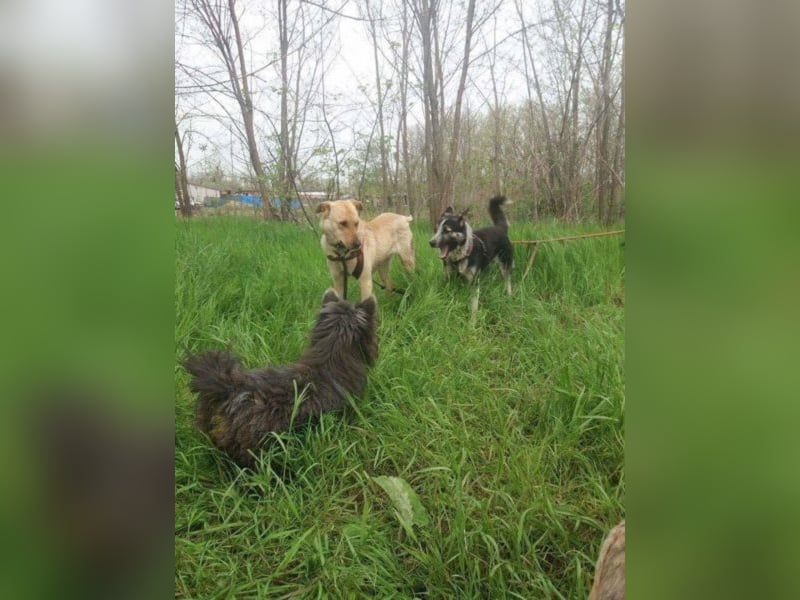 Ethan, ein wahres Goldstück