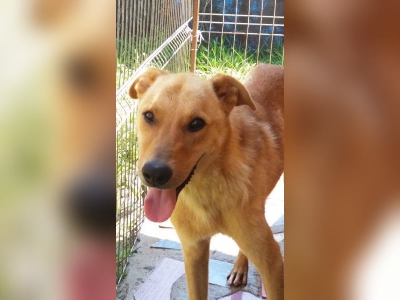 Ethan, ein wahres Goldstück