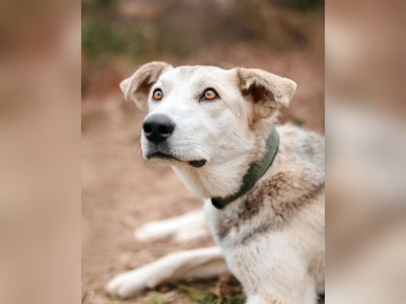 Freya wünscht sich eine Familie
