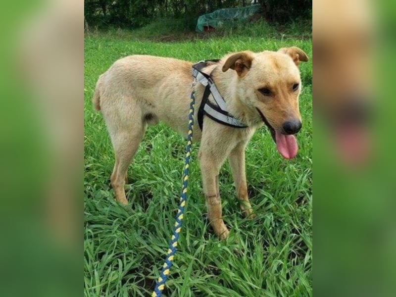 Ethan, ein wahres Goldstück