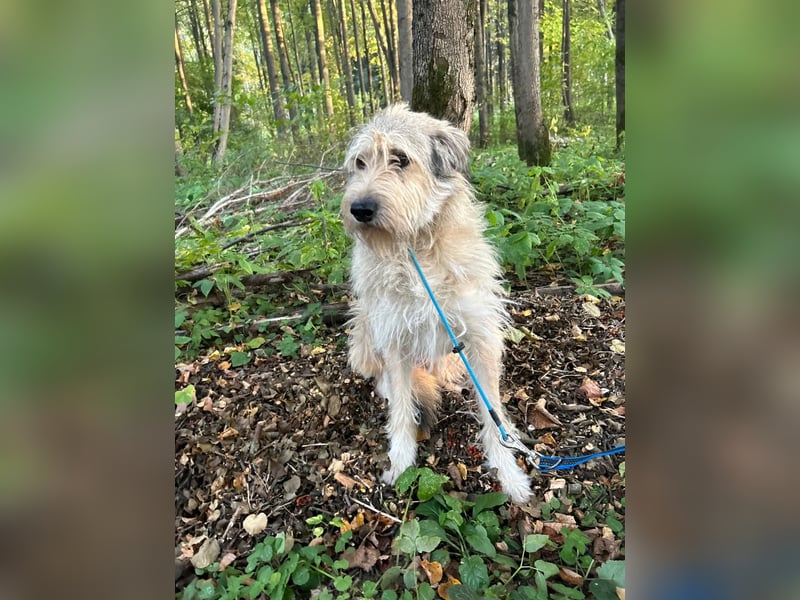Kasper wünscht sich eine Familie Kasper wünscht sich eine Familie