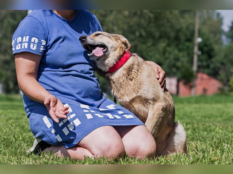 Die liebe und freundliche Zara wünscht sich schon lange ein Zuhause