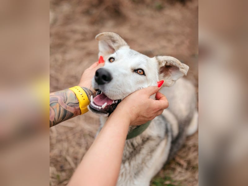 Freya wünscht sich eine Familie