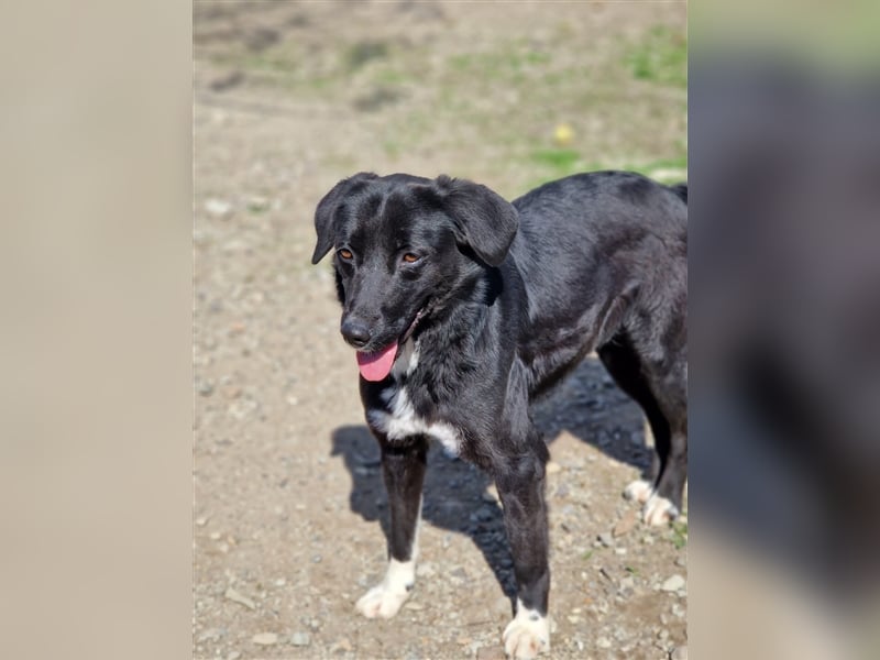 Jamila - Mit Liebe wächst ihr Mut ❤️