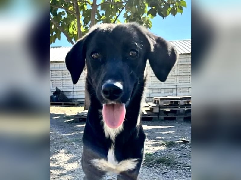 Jamila - Mit Liebe wächst ihr Mut ❤️