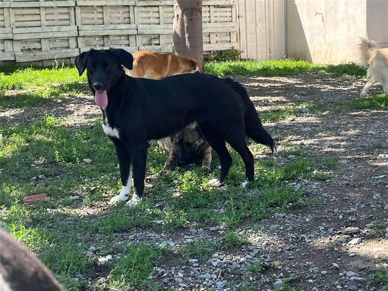 Jamila - Mit Liebe wächst ihr Mut ❤️