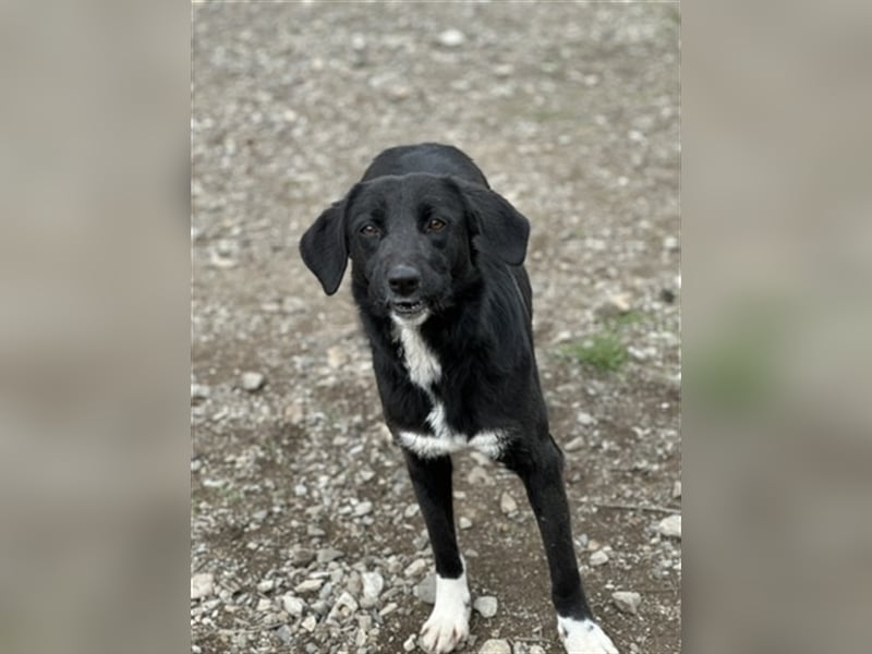 Jamila - Mit Liebe wächst ihr Mut ❤️