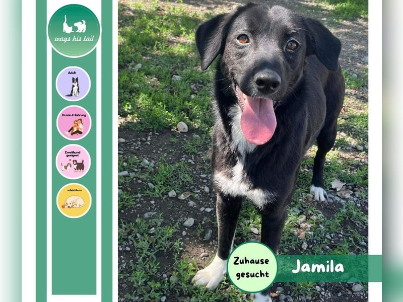 Jamila - Mit Liebe wächst ihr Mut ❤️