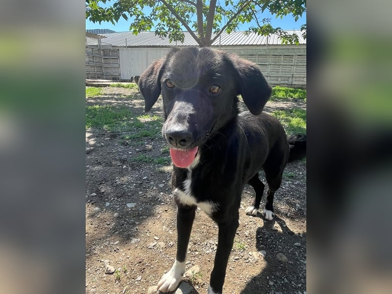 Jamila - Mit Liebe wächst ihr Mut ❤️