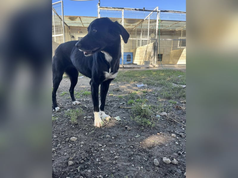 Jamila - Mit Liebe wächst ihr Mut ❤️