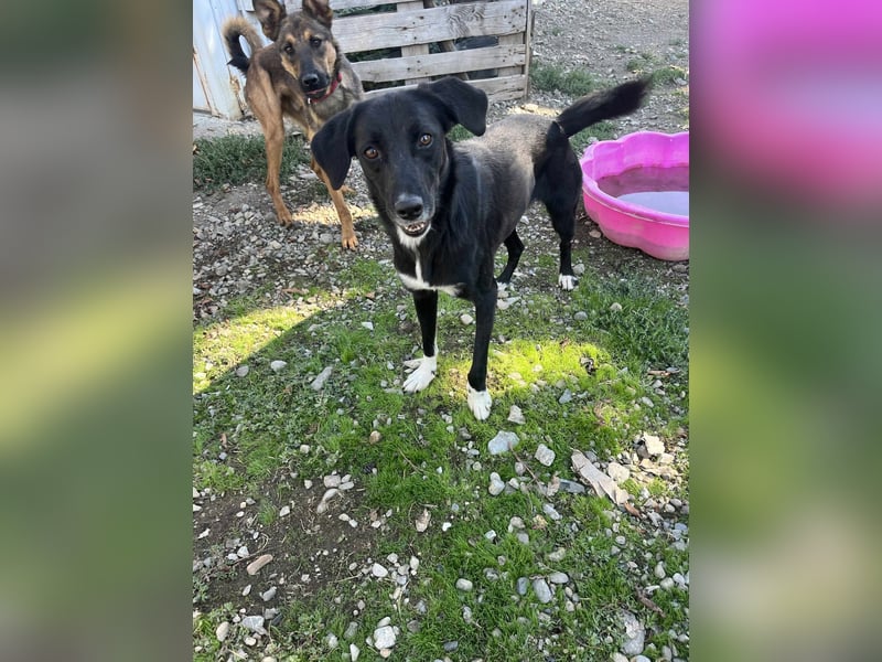 Jamila - Mit Liebe wächst ihr Mut ❤️