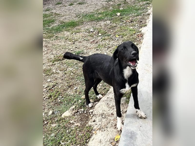 Jamila - Mit Liebe wächst ihr Mut ❤️