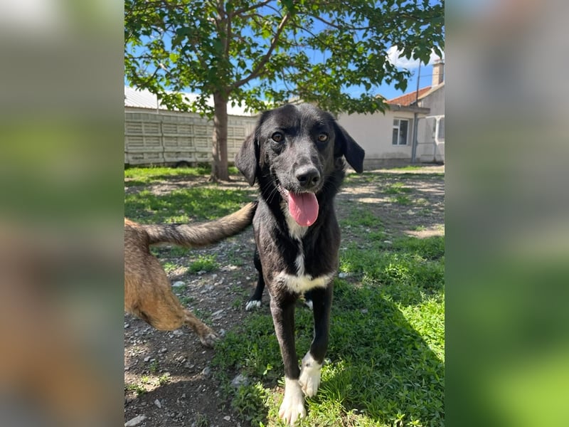 Jamila - Mit Liebe wächst ihr Mut ❤️