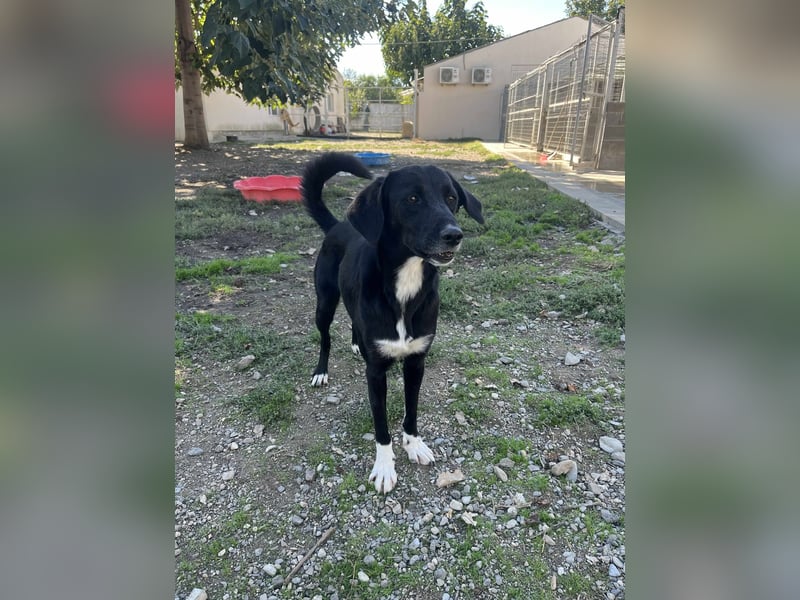 Jamila - Mit Liebe wächst ihr Mut ❤️