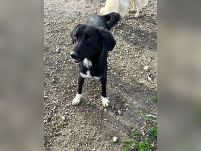 Jamila - Mit Liebe wächst ihr Mut ❤️