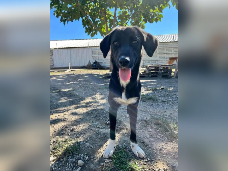 Jamila - Mit Liebe wächst ihr Mut ❤️