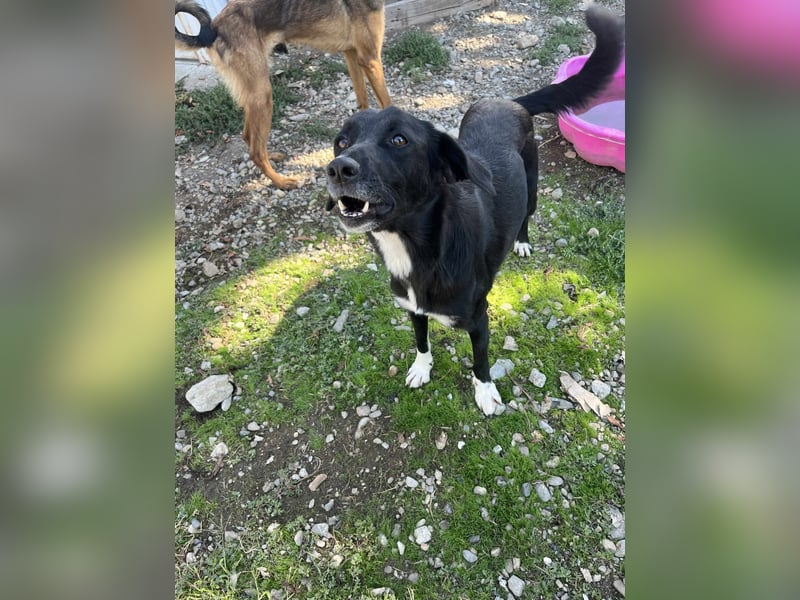 Jamila - Mit Liebe wächst ihr Mut ❤️