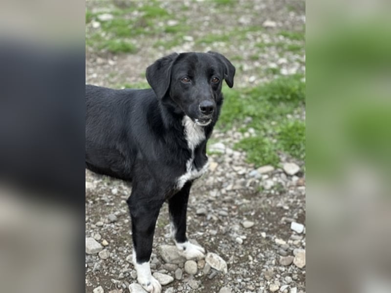 Jamila - Mit Liebe wächst ihr Mut ❤️