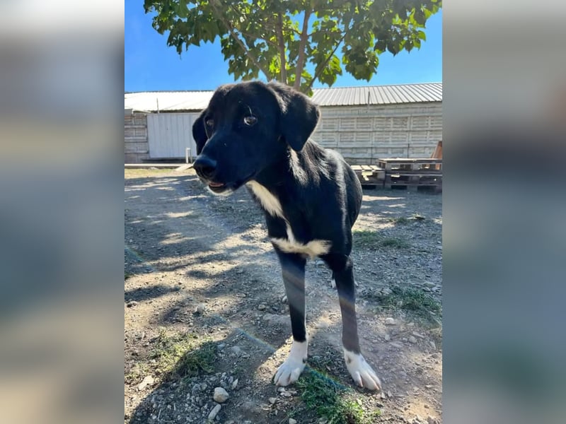 Jamila - Mit Liebe wächst ihr Mut ❤️