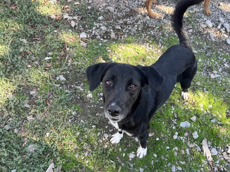 Jamila - Mit Liebe wächst ihr Mut ❤️