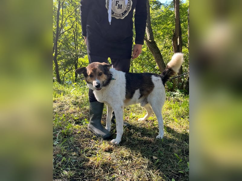 BOGYO - Ein unentdeckter Jackpot!