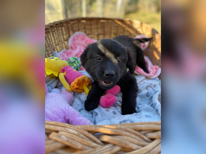 JUNA - Kleine Prinzessin sucht eine Familie