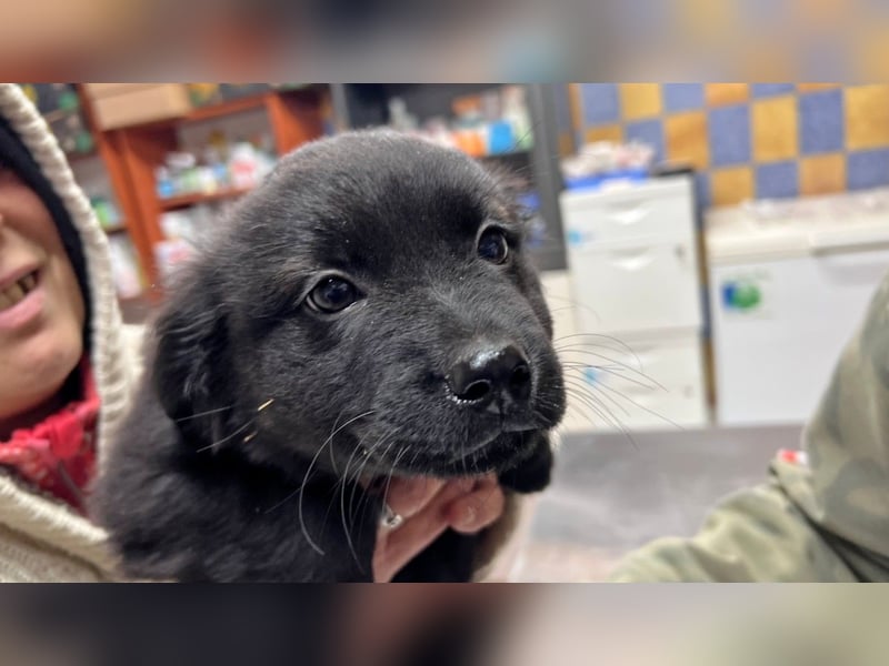 JUNA - Kleine Prinzessin sucht eine Familie