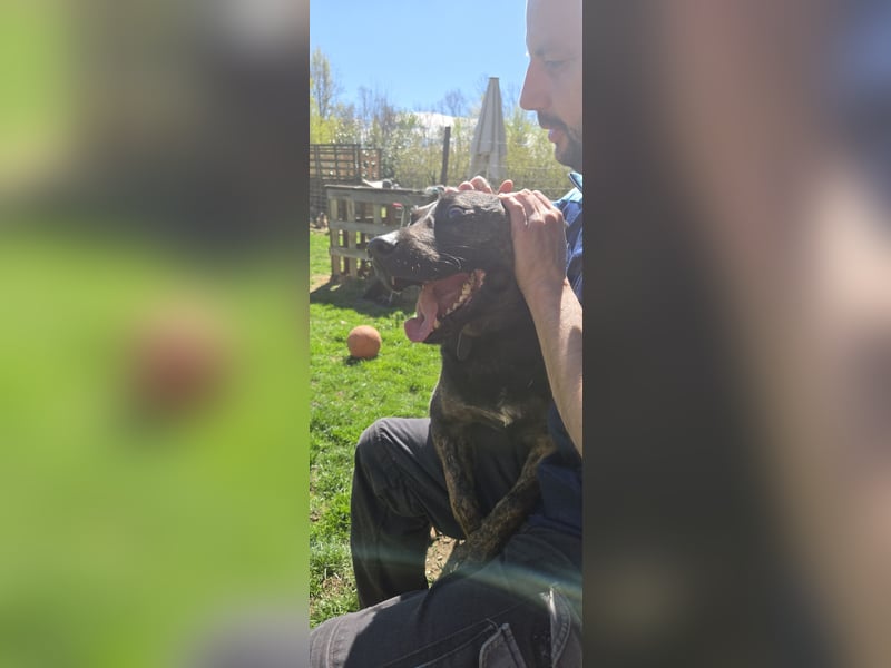 Butch sucht ein neues Zuhause